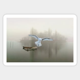 Snowy Owl at Dawn Magnet